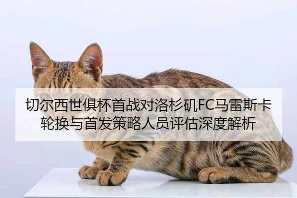 qie-er-xi-shi-ju-bei-shou-zhan-dui-luo-shan-ji-ma-lei-si-ka-lun-huan-yu-shou-fa-ce-lve-ren-yuan-ping-gu-shen-du-jie-xi-2-313.jpg