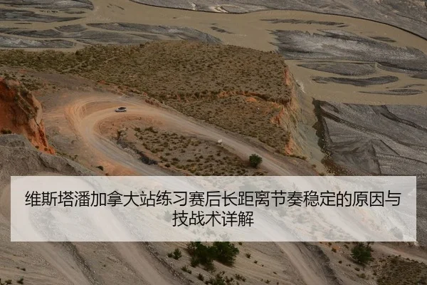 维斯塔潘加拿大站练习赛后长距离节奏稳定的原因与技战术详解